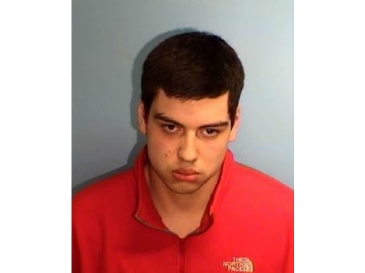 Antony Sehter faces four counts of animal owner's duties violation and one count of unlawful possession of a vehicle.