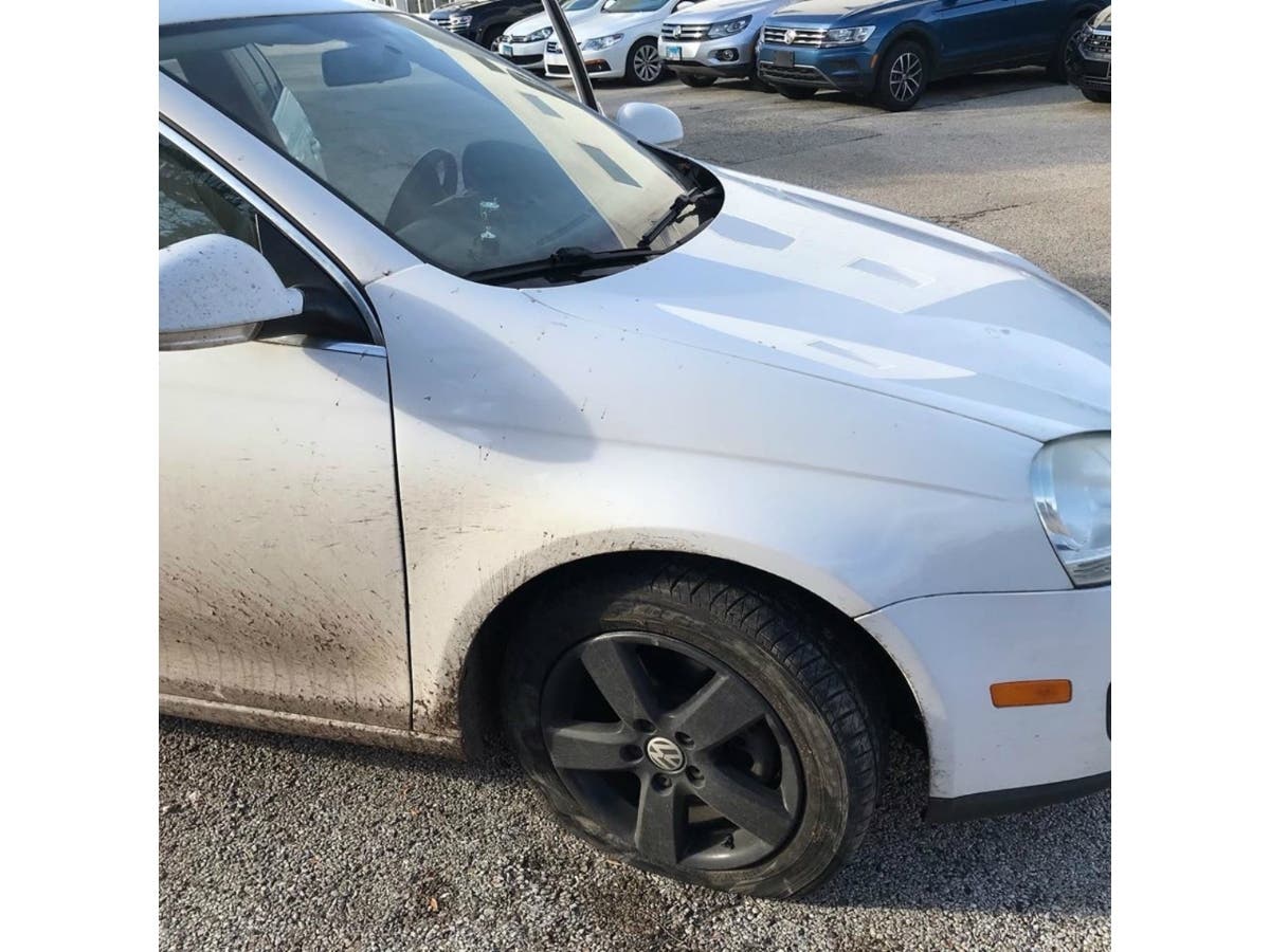 A Glenview pet owner said thousands of dollars worth of property was stolen and her car was stolen and possibly totaled after booking a pet sitter online. A company spokesperson said her ordeal is "nowhere near the typical experience on Rover."