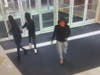 Police said five men or boys who appeared to be teenagers stole 10 purses from the Louis Vuitton store at Northbrook Court on the evening of Jan. 6, 2020.