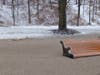 Lake Forest city workers cleared away tons of debris and repaired damage to a brick walkway after a Jan. 11, 2020, winter storm.