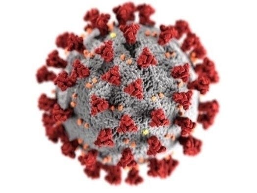 A Centers for Disease Control and Prevention (CDC) illustration depicts the ultrastructural morphology exhibited by coronaviruses.