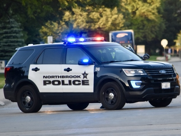 The incidents and arrests below were reported by the Northbrook Police Department from March 5–March 18.