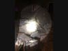 The Evanston Fire Department released images from the scene of the collapse of a secondary ceiling of wire mesh and plaster.