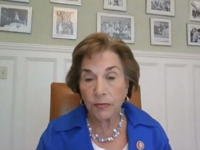 U.S. Representative Jan Schakowsky (D-Evanston) chaired a remotely conducted hearing of the House Subcommittee on Consumer Protection and Commerce Thursday from her home.