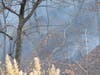 Fire crews battled a brush fire in McCormick Ravine for more than seven hours Monday afternoon, according to the Lake Forest Fire Department.