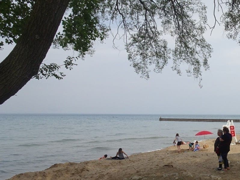Four female lakefront employees submitted a petition to city staff in July 2020 containing anonymous allegations of sexual misconduct, sexual harassment, sexism, racism and discrimination by beach staff. 