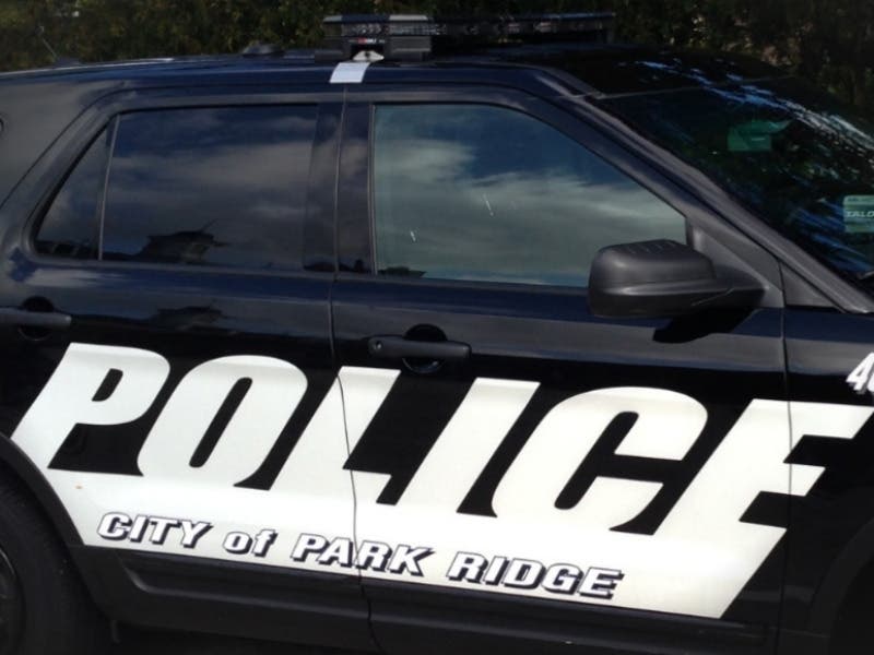 The Park Ridge Police Department has sought the assistance of the multi-jurisdictional Major Case Assistance Team to investigate the city's first homicide in more than two and a half years.