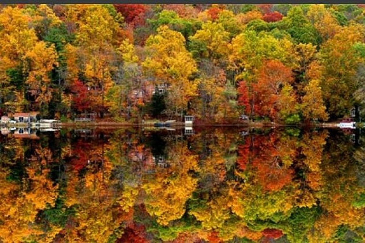 https://patch.com/img/cdn20/users/22915895/20181010/091557/styles/raw/public/processed_images/fall_leaves-1539176502-2614.jpg