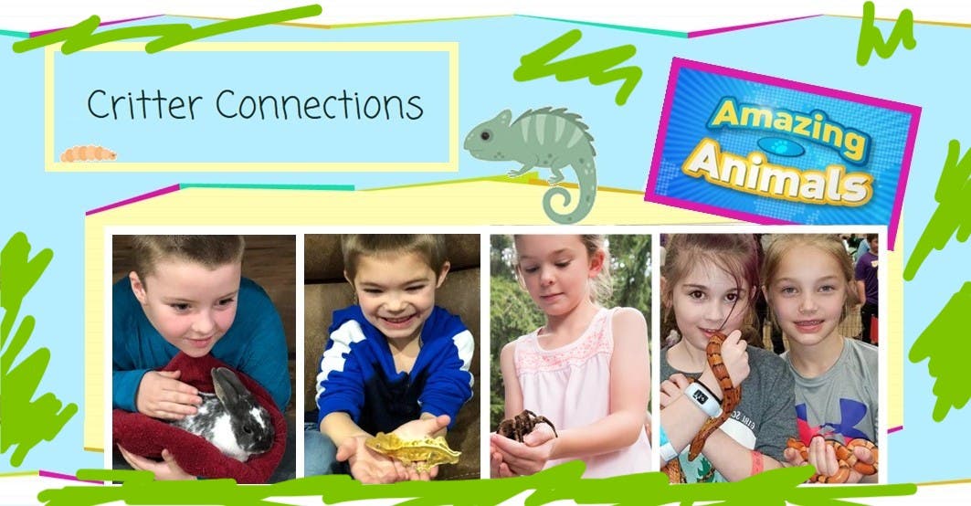 Critter Connections