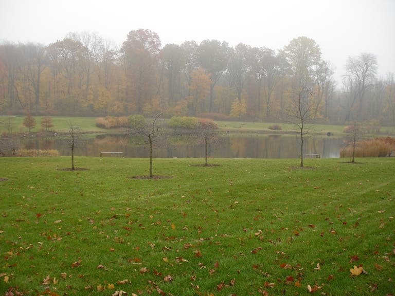 The Kensico Cemetery grounds feature lush autumn foliage at this time of year.
