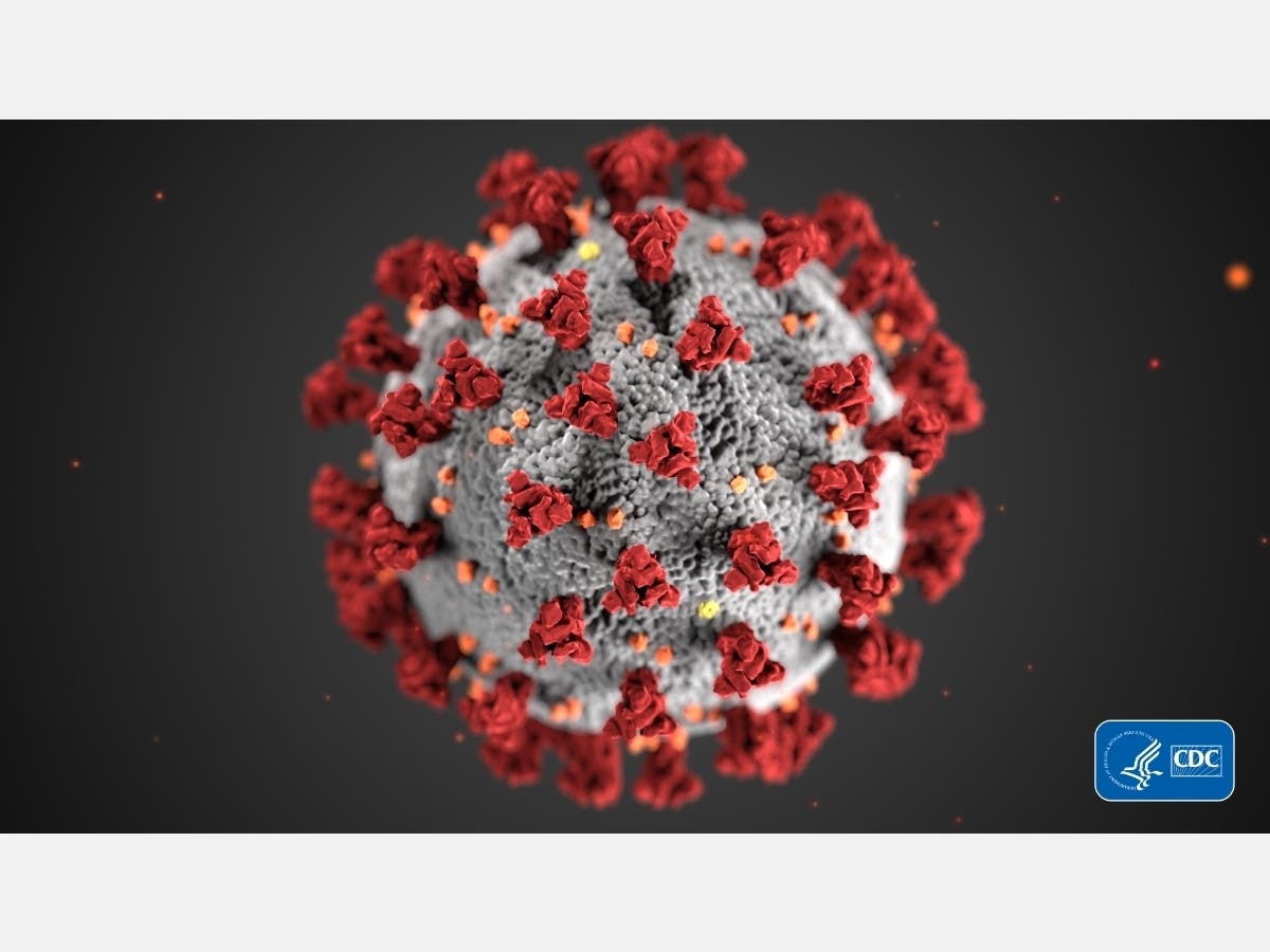 CDC image of Coronavirus