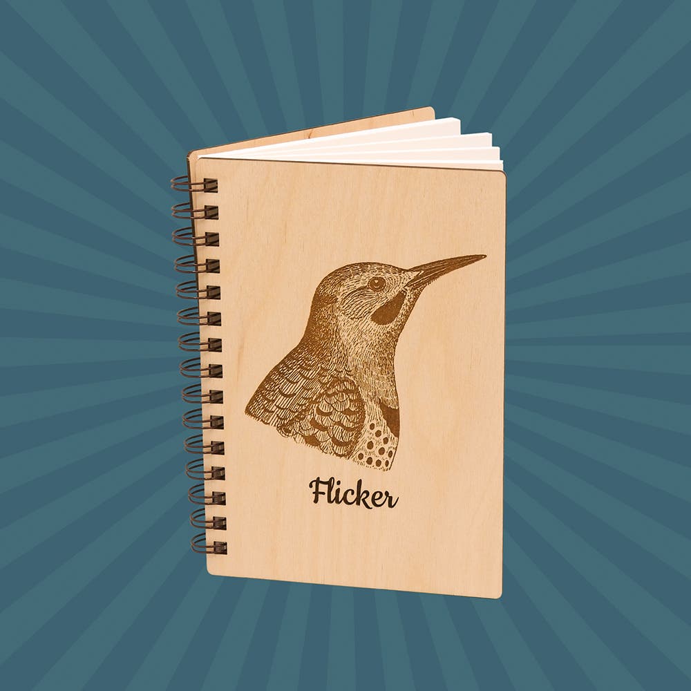 Northern Flicker Dream Journal