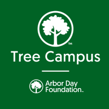 White tree logo on a green block with text reading Tree Campus - Arbor Day Foundation