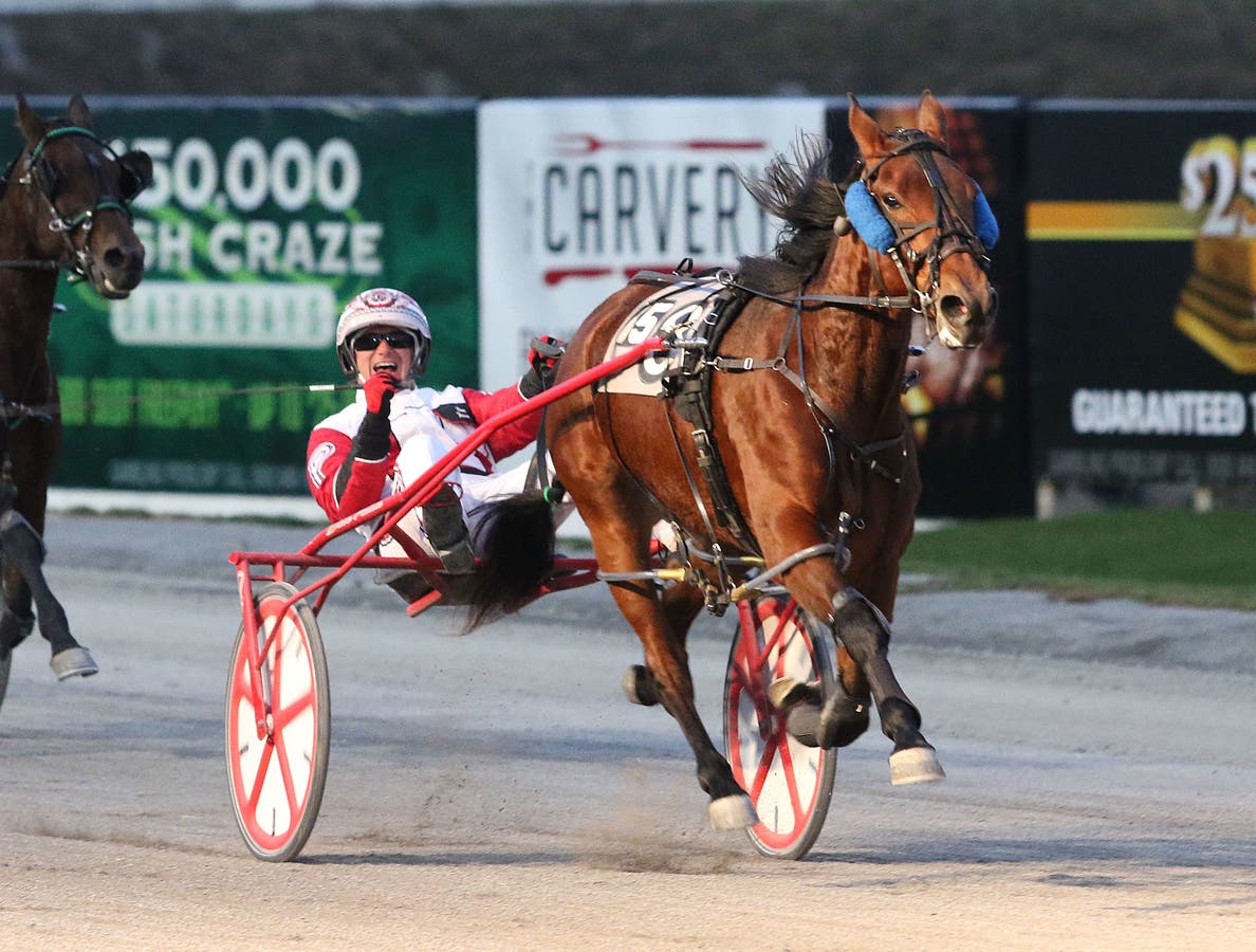 The Meadows Suspends Racing, Quarantines Nearly 200 Horses | Pittsburgh ...
