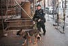 A sherriff's deputy walks into the Allegheny County Courthouse with a canine officer.