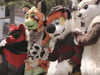 Last year's Anthrocon.