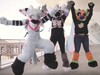 Last year's Anthrocon.