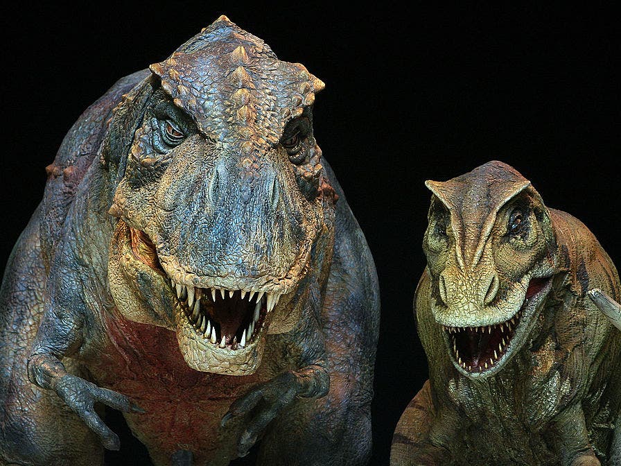 File photo of dinosaur display.