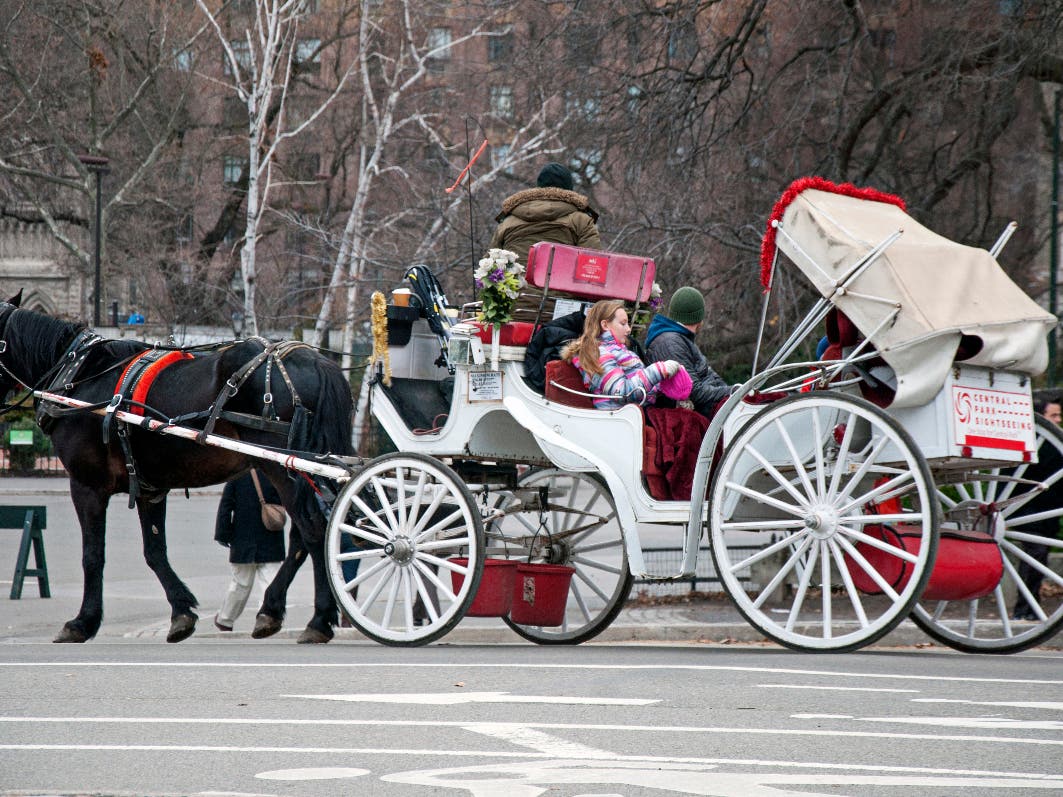 Horse Carriage Rides In PA Could Be Restricted Under Proposed Law