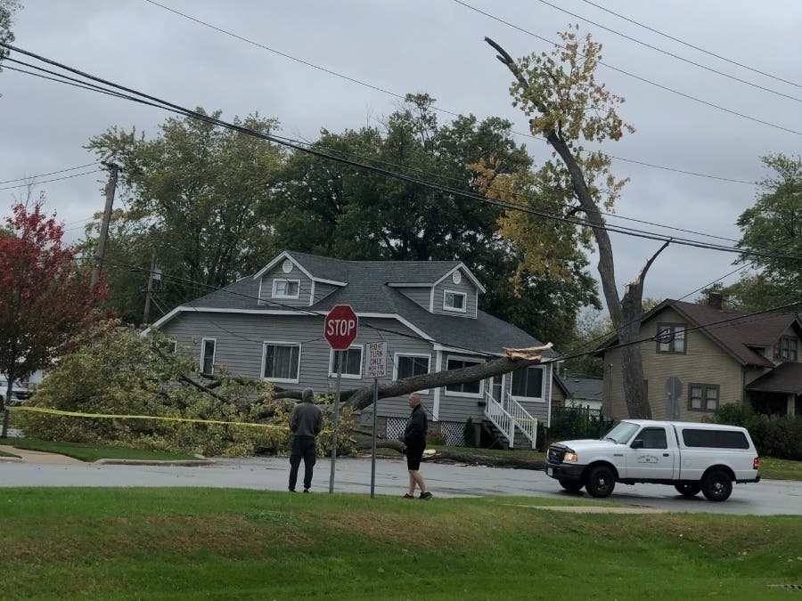 High winds caused tree damage in Lansing, and the tree knocked down power lines.