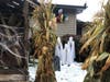 The Pukula family, who live on Rosehill Drive in Lemont, have created the haunted display in their front yard for the past several years. 
