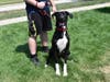 This week's adoptable pet is Geno, who is available for adoption at the humane society.