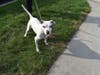 This week's adoptable pet is Lucy, who is available for adoption at the humane society.