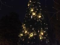 The annual Christmas tree lighting celebration in Cornelius is set for Saturday, Nov. 30.