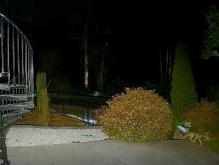 A Davidson Neighbors app Ring camera caught a coyote wandering around the backyard of a home in the River Run neighborhood this week. 