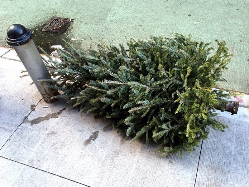 Thinking about when you should take down your Christmas tree? Here's when and how to recycle it.