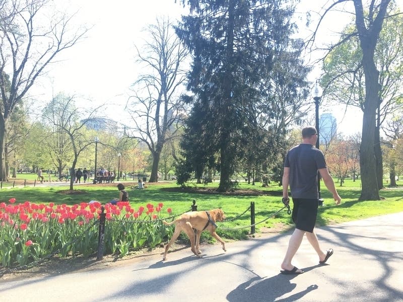 A new scoreboard developed by Unacast grades each U.S. state and county on how well its residents are practicing social distancing.