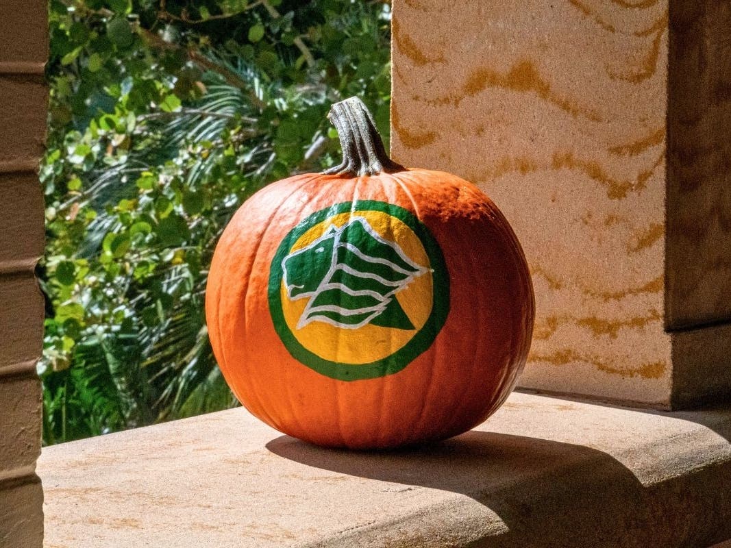 A pumpkin decorated with the Saint Leo University logo sits on campus.