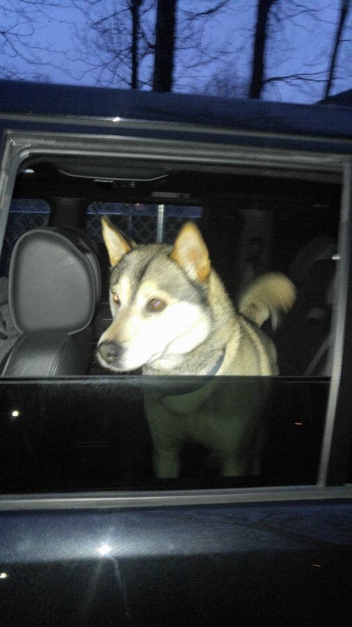 News small post card thumbnail