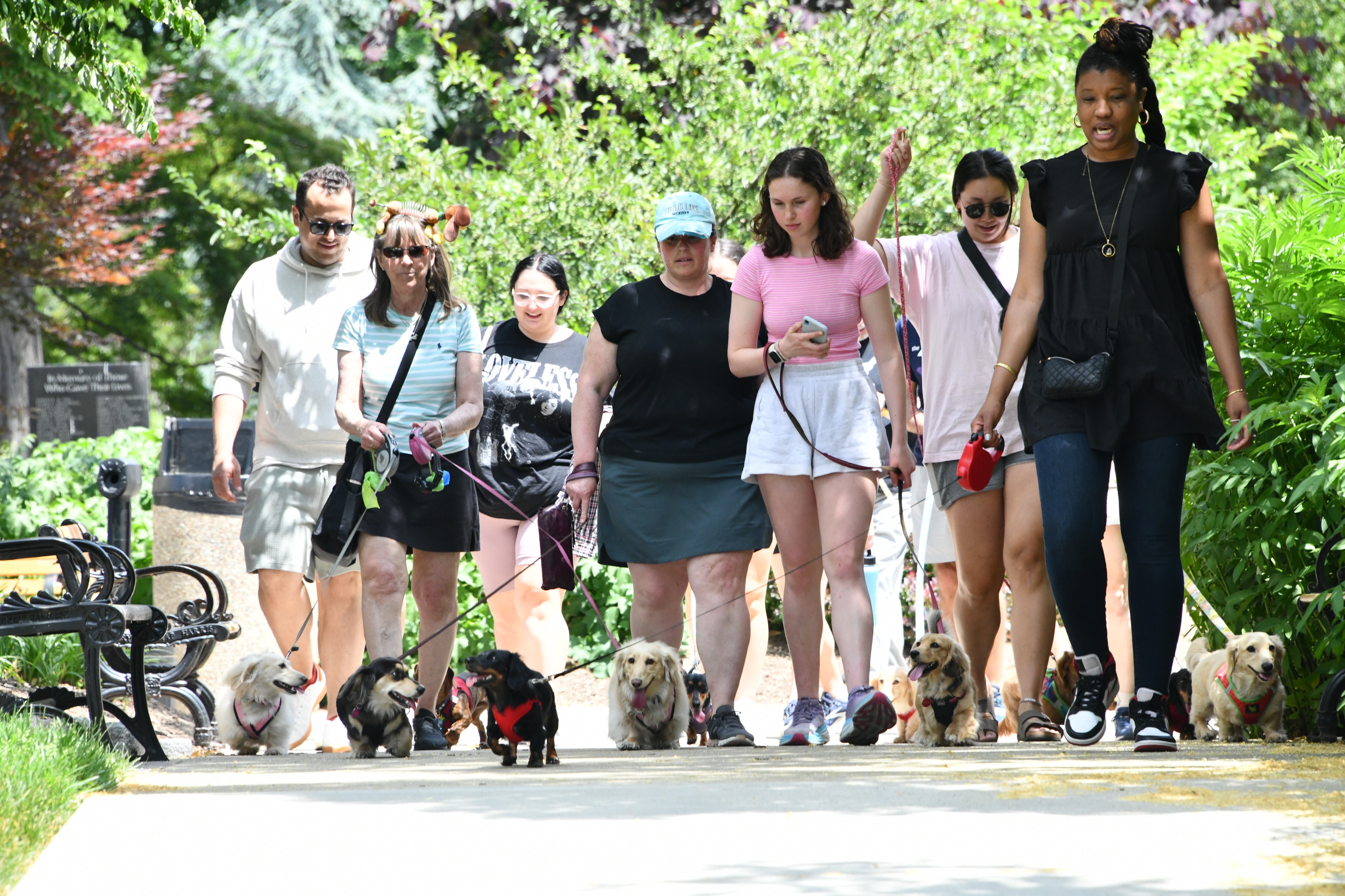 Wiener Walk Towson