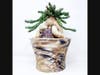 Erik Zeldes of Madison Heights, MI, combines concrete and 3D printed pots with exotic plants to create unique Michigan-made planters and home décor.