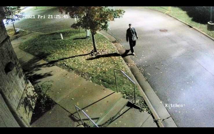 Security Camera footage of the Vandal Security Camera footage of the Vandal