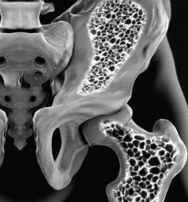 YOGA206 Bone Boost Fall II 2026 Focusing on HIPS