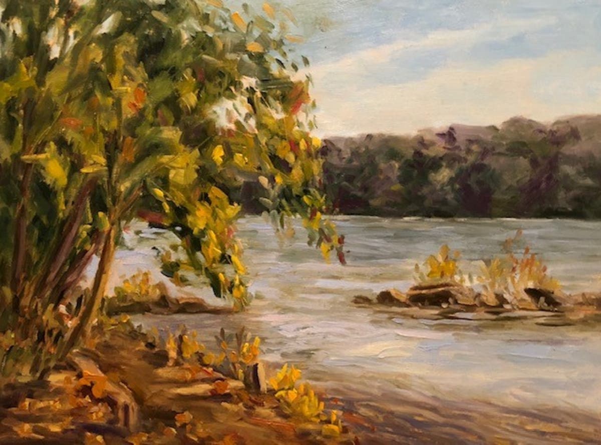 https://patch.com/img/cdn20/users/22924488/20190311/024203/styles/raw/public/processed_images/potomac_river_12x16_oil_on_panel-1552329411-533.jpg