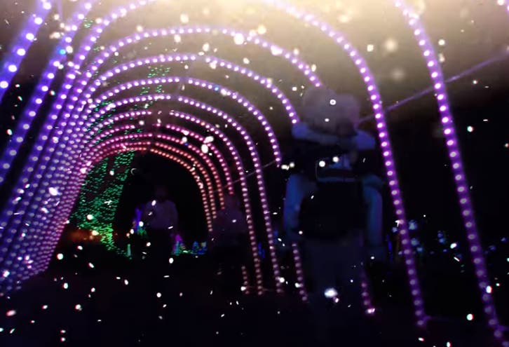 Meadowlark's Winter Walk of Lights: Dates, Job Openings | Vienna, VA Patch