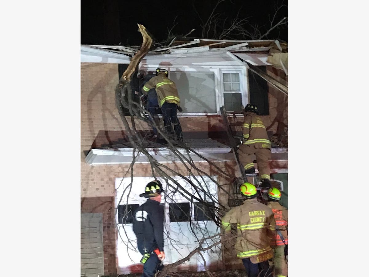 Rescue on Kerry Lane