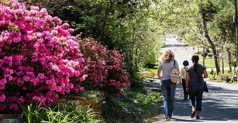 Walk on the Hill is one of the home and garden tours to check out this weekend in Northern Virginia.