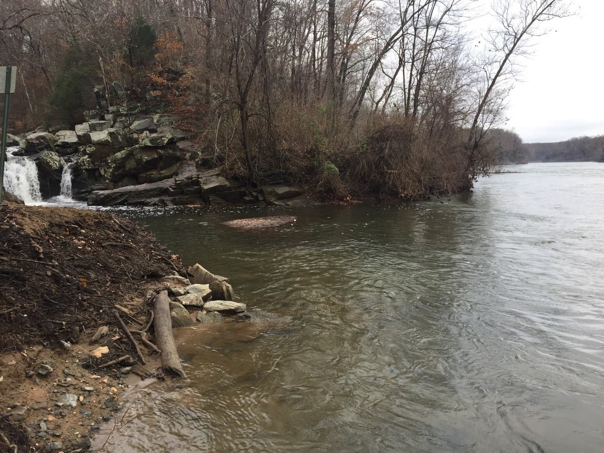 Several were arrested and others were cited for prohibited activities in one day at Scott's Run Nature Preserve. 