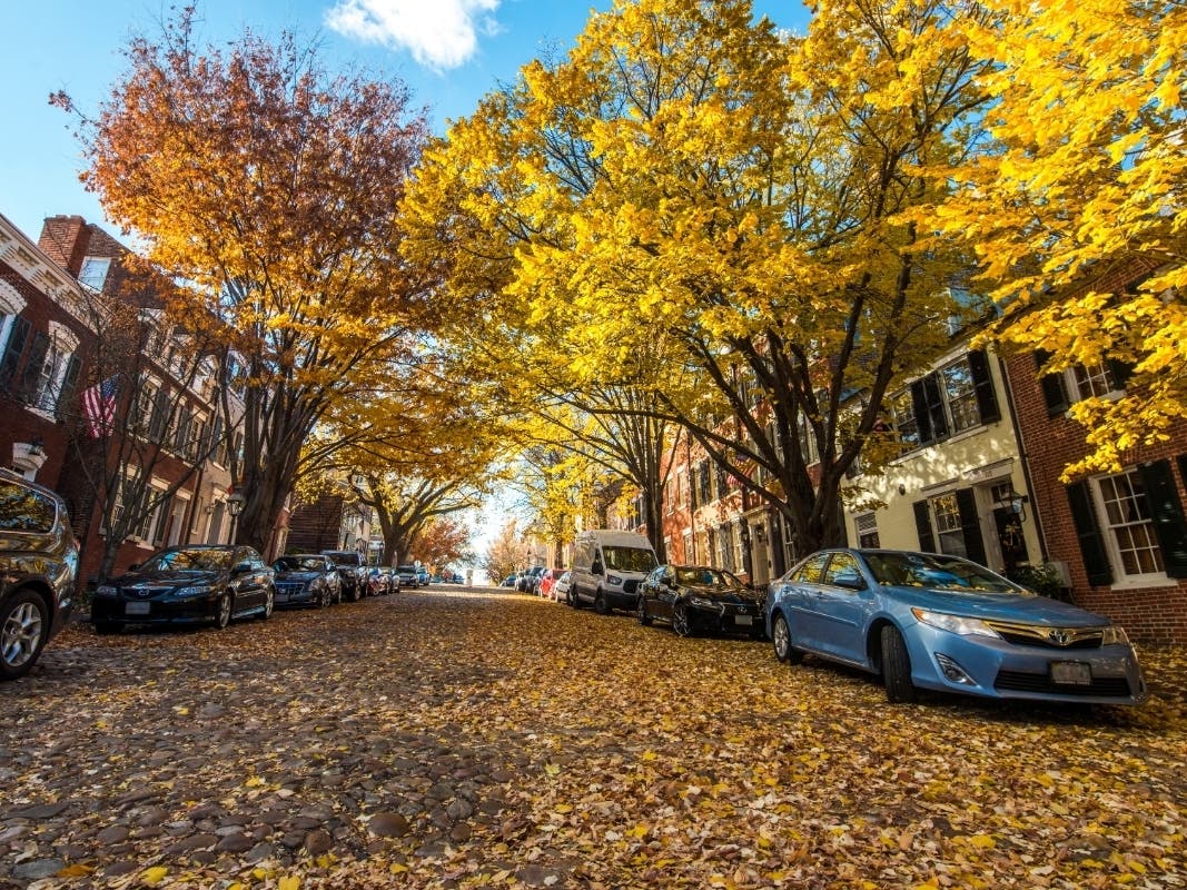 12 Fall Events You Can t Miss Around Alexandria In 2019 Old Town 12 Fall Events You Can t Miss Around Alexandria In 2019 Old Town