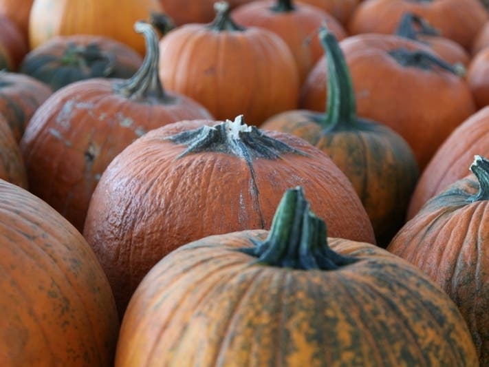 The Kingstowne Farmers Market will open one last Friday for the Fall Harvest Celebration.