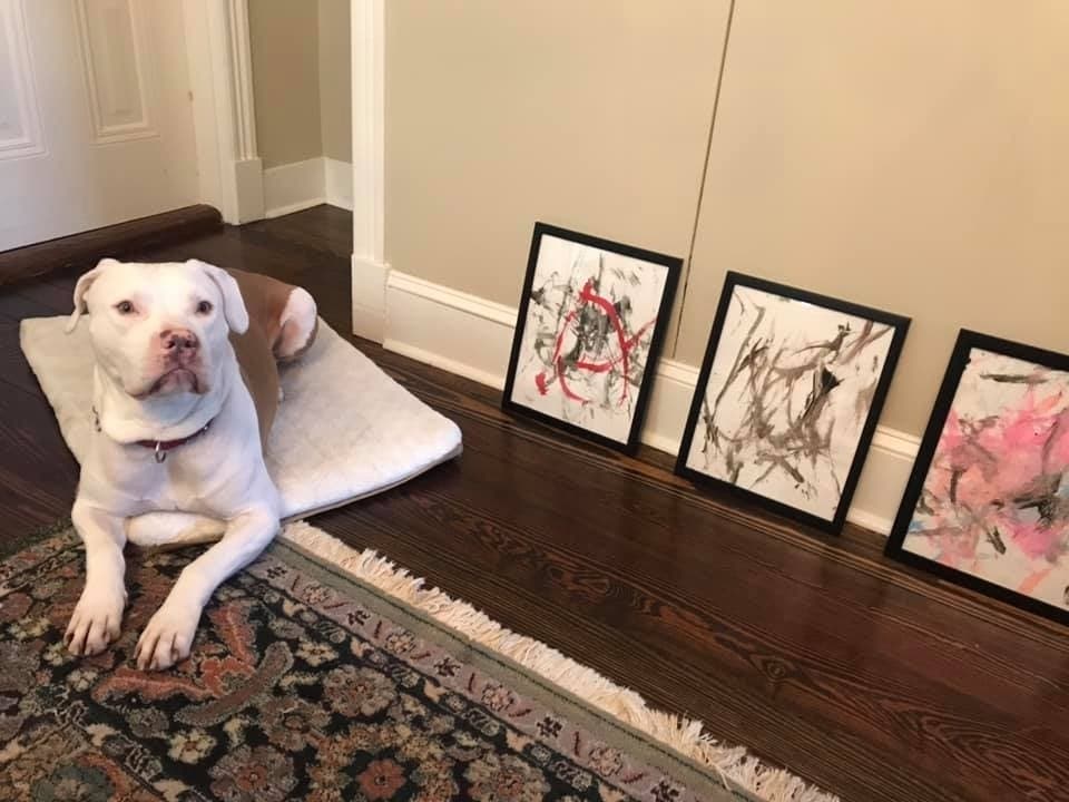 Shelter pet Ricasso's tail-wagging art raised more than $4,000 to help Alexandria pets in need.
