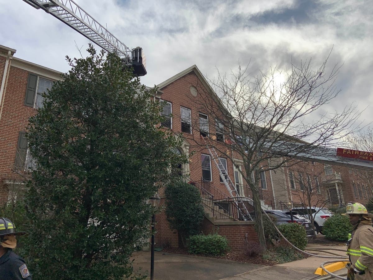 A dog was found dead in a townhouse when a fire broke out in Tysons Monday, Dec. 23.