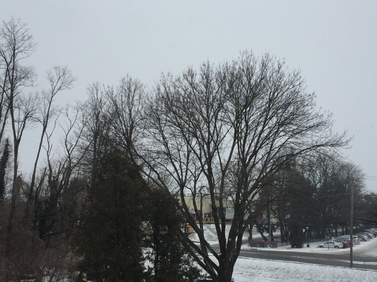 Rush hour started early as snow prompted early dismissals from work in the DC region.