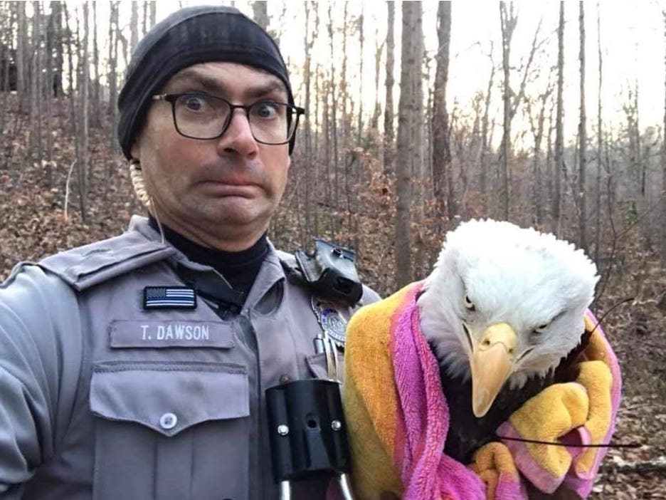 A bald eagle was released at Burke Lake Park after officers rescued him in December. 