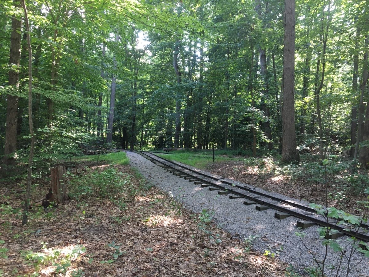 Here’s how to enjoy the best local views as fall makes its way near Burke.
