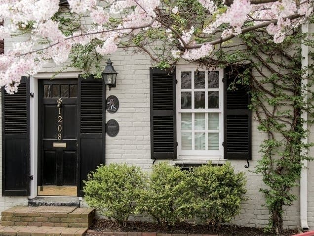 Here are the cherry blossom experiences offered around Alexandria for the 2021 season.